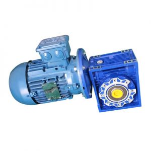 Gear Motor