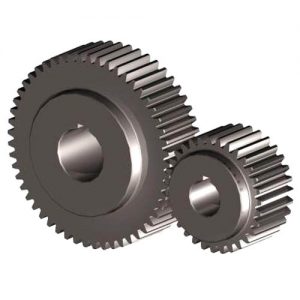 Spur Gear