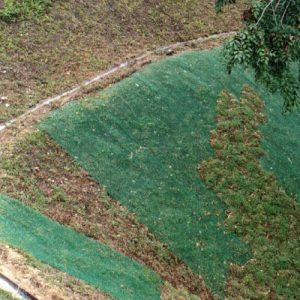 Erosion Control Mesh