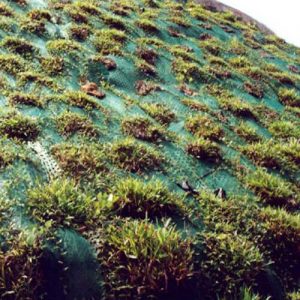 Erosion Control Mesh