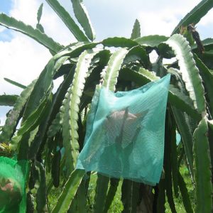 Fruit Protection Net