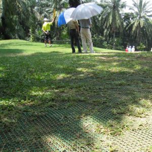 Grass Protection Mesh
