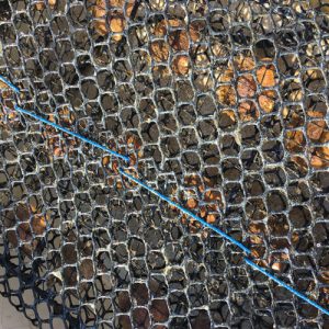 Oyster Farming Mesh (TG300)