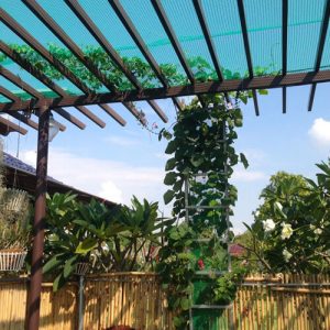 Pergola Net