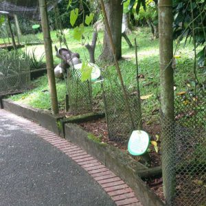 Plant Protection Net