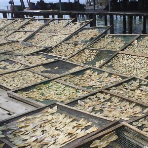 Satay Fish Drying Net (HM 350)
