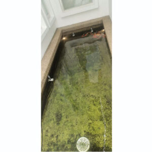 Clazzen Malaysia Sdn Bhd_Fountain Nozzle, Venturi Jet, Underwater Light Etc - PUNCAK BUKIT JELUTONG, SHAH ALAM, MALAYSIA