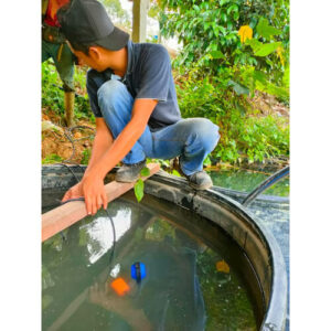 Clazzen Malaysia Sdn Bhd_Solar Pump - Bentong Site