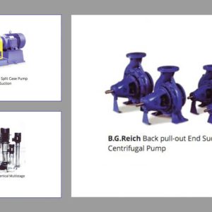 B.G.REICH Back pull-out End Suction Centrifugal Pump