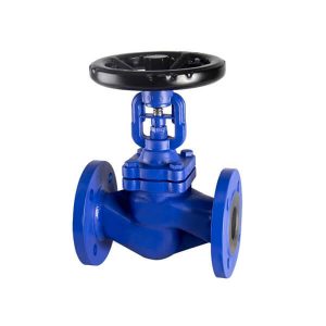 Bellow Seal Valves