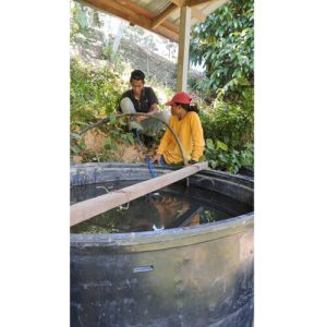 Clazzen Malaysia Sdn Bhd_Solar Pump - Bentong Site