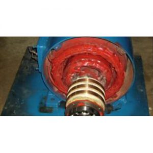 Electric Motor