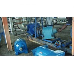 Electric Motor