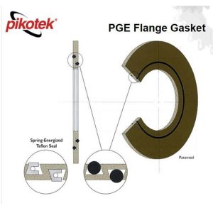 PGE Flange Gasket