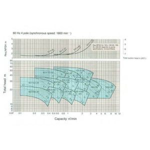 PUMP ERA_EBARA PENTAM Plastic Pumps - FPS