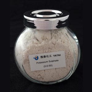 Potassium Sulphate(0-0-50)