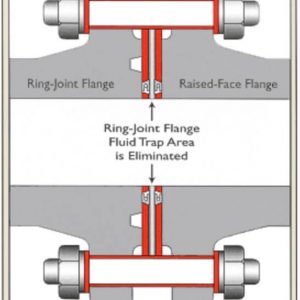 VCS (Very Critical Service) Flange Gasket